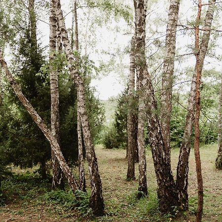 Berzu Namelis - Birch Cabin Kutsyuny エクステリア 写真