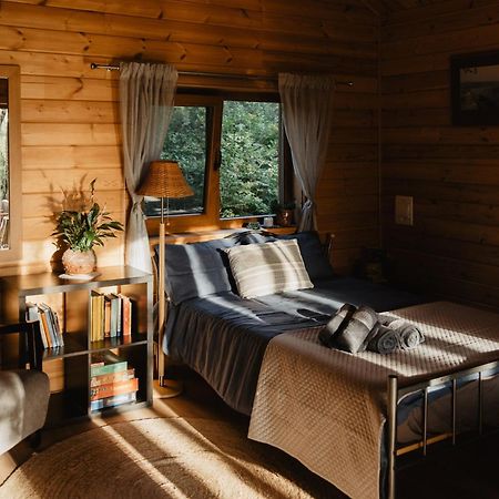 Berzu Namelis - Birch Cabin Kutsyuny エクステリア 写真