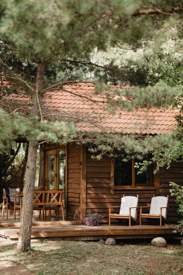 Berzu Namelis - Birch Cabin Kutsyuny エクステリア 写真