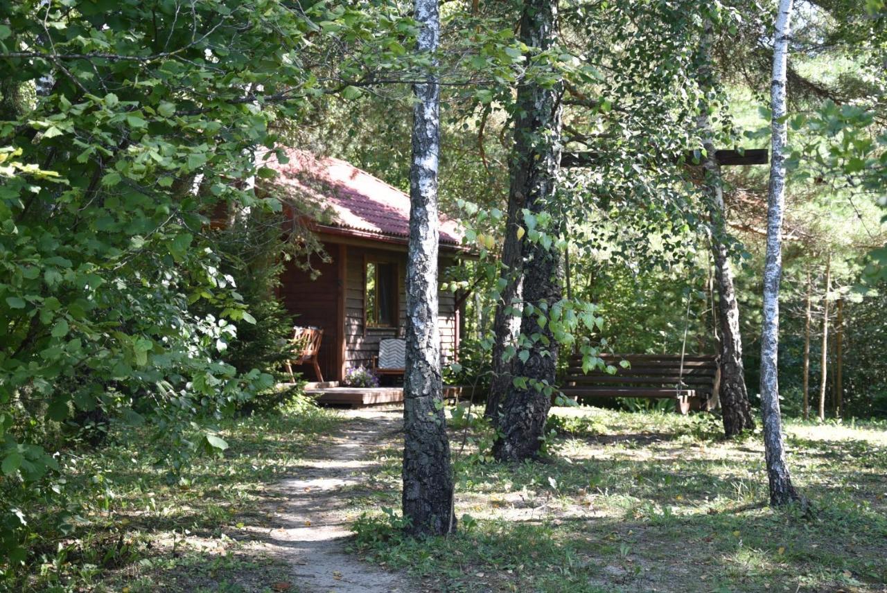 Berzu Namelis - Birch Cabin Kutsyuny エクステリア 写真