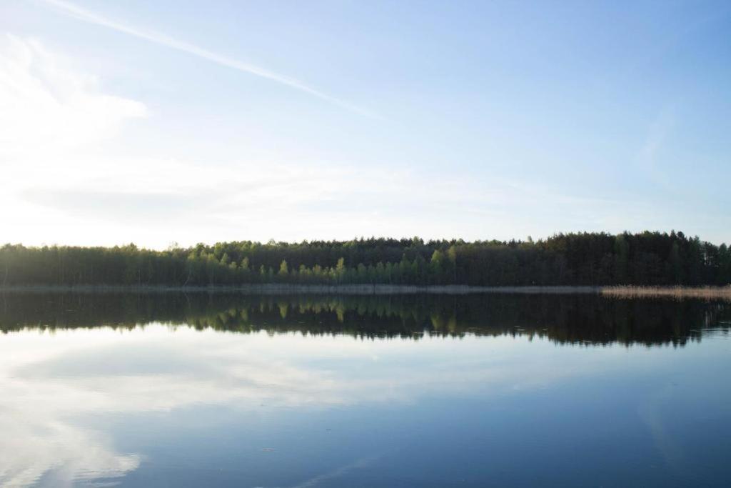 Berzu Namelis - Birch Cabin Kutsyuny エクステリア 写真