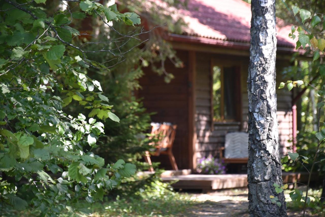 Berzu Namelis - Birch Cabin Kutsyuny エクステリア 写真