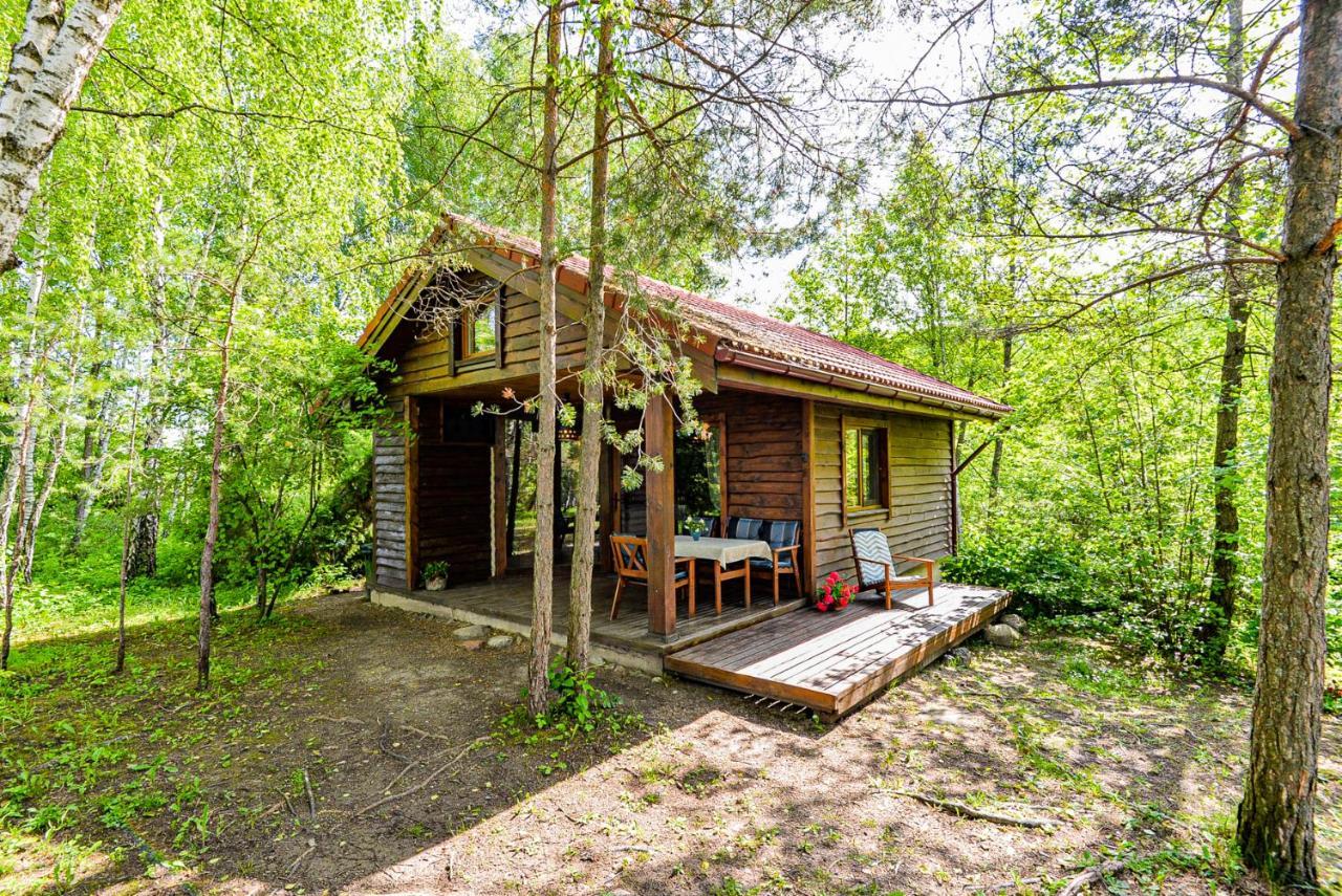 Berzu Namelis - Birch Cabin Kutsyuny エクステリア 写真