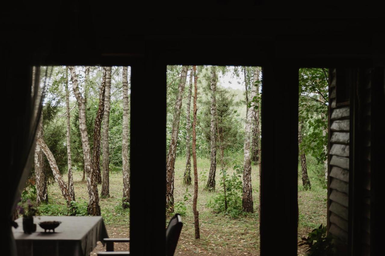 Berzu Namelis - Birch Cabin Kutsyuny エクステリア 写真