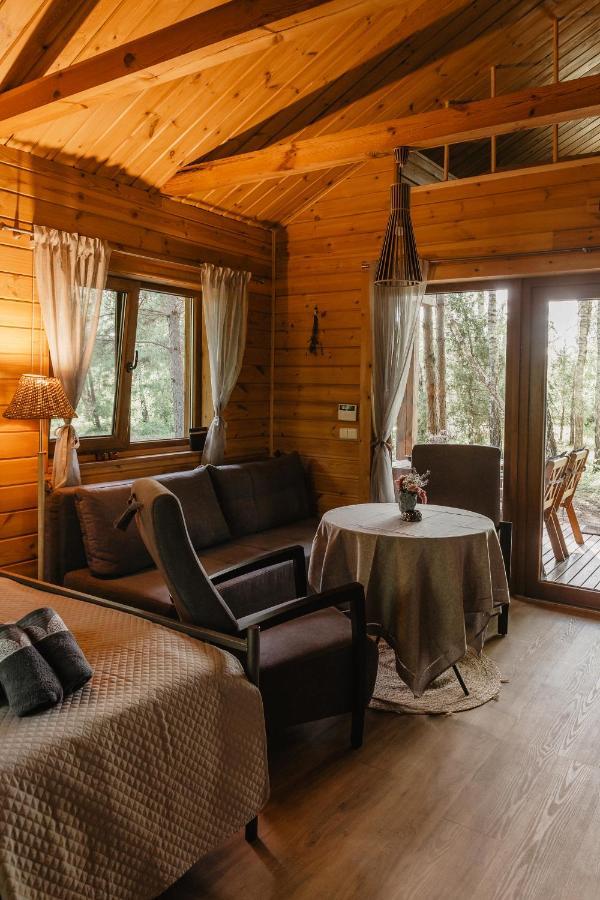 Berzu Namelis - Birch Cabin Kutsyuny エクステリア 写真