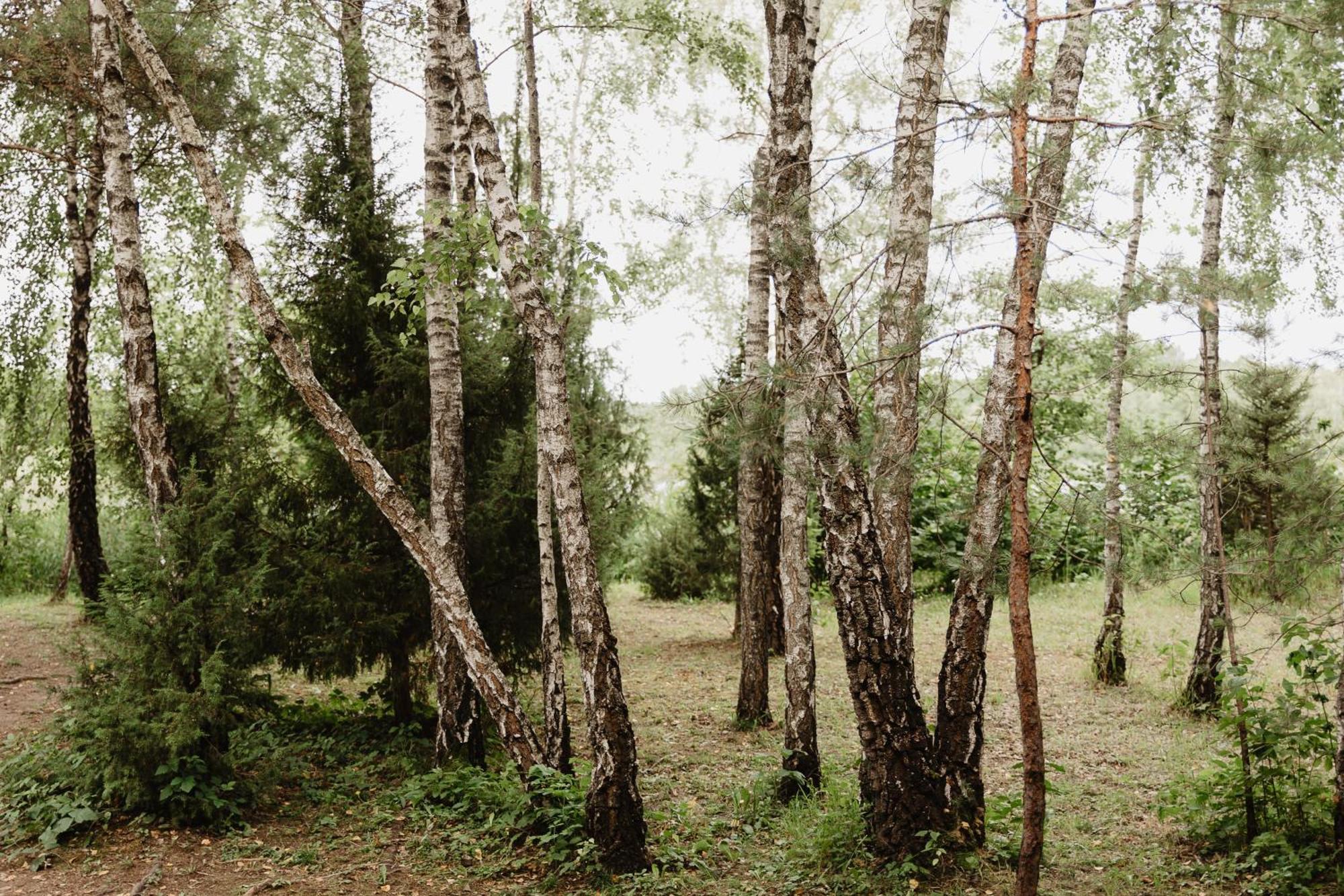 Berzu Namelis - Birch Cabin Kutsyuny エクステリア 写真