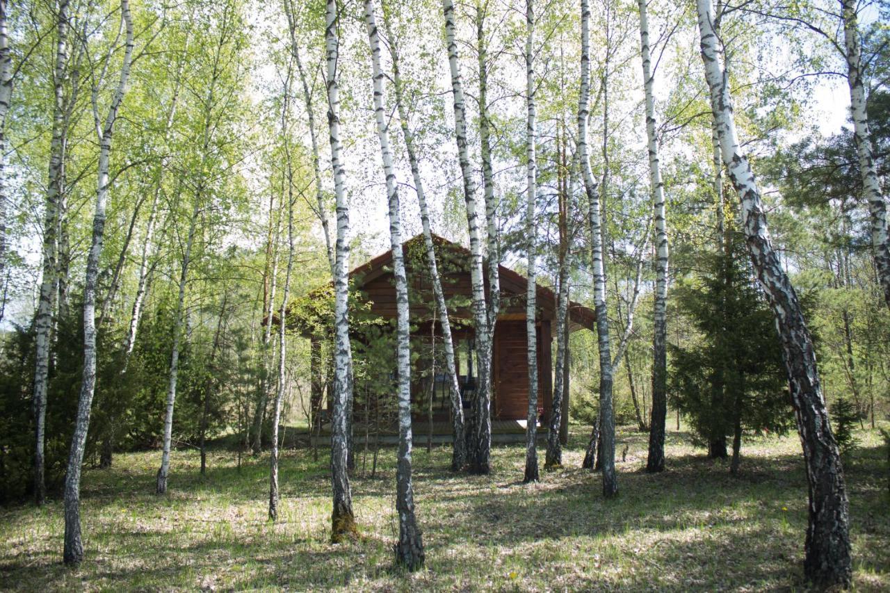 Berzu Namelis - Birch Cabin Kutsyuny エクステリア 写真